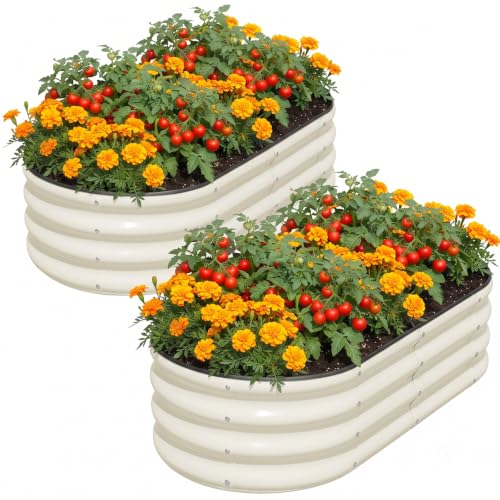 Raised Garden Bed Outdoor 4x2x1ft (2 Count)