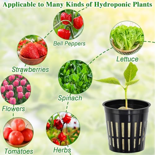 144PCS 1.2" Rockwool Cubes & 120PCS 2" Net Cups for Hydroponics (264 Count)