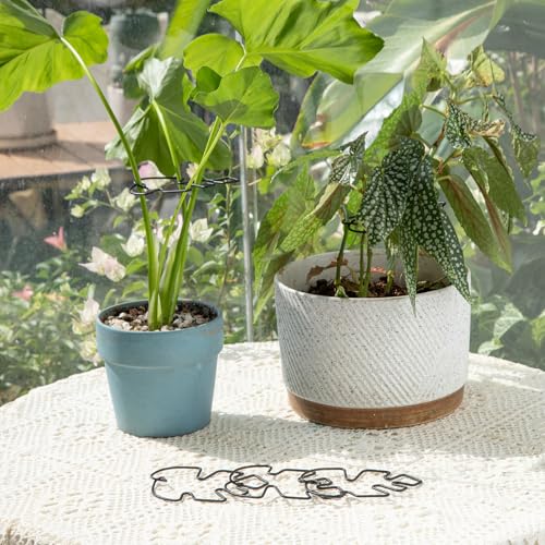 4.13x2.95in Monstera Plant Stem Support (Black / 4.13IN*2.95IN)
