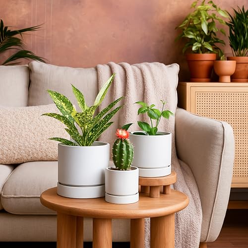 4 Inch Planter Pot with Drainage Hole & Saucer (4" (2 Pack) / Matte White)