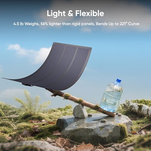Solar Generator 300 and SolarSaga 100W Light (E300+100W Light)