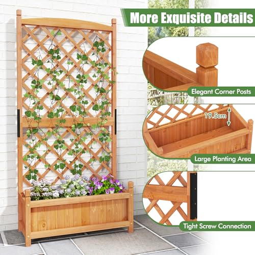60” 2 Raised Garden Bed with Trellis (28" x 13" x 60")