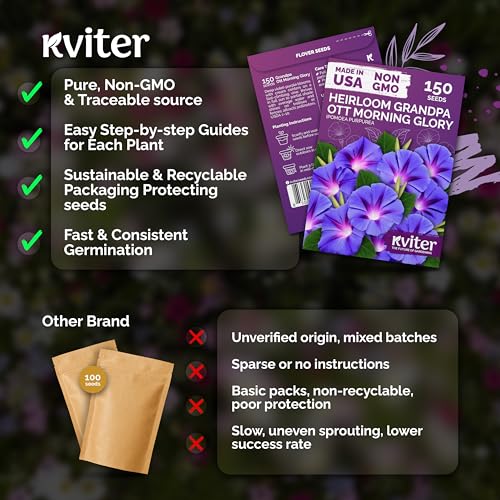 150 Grandpa OTT Morning Glory Heirloom Flower Seeds