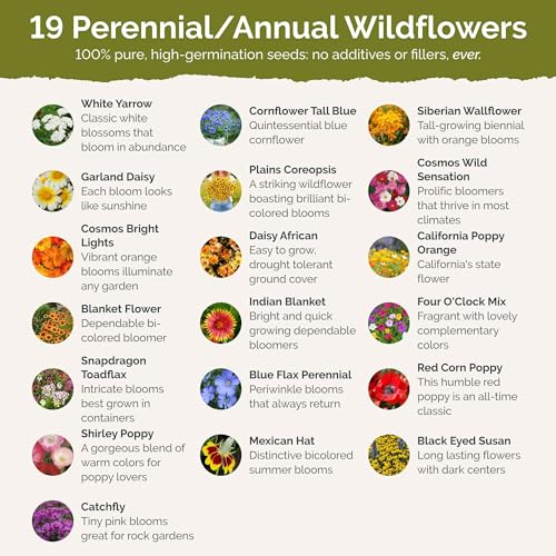 Wyoming Wildflower Mixed Seeds for Planting