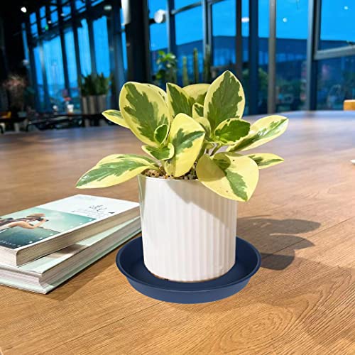 2 Pack of 10 inch Plant Saucer Gray (10" (2 pack) / Blue)