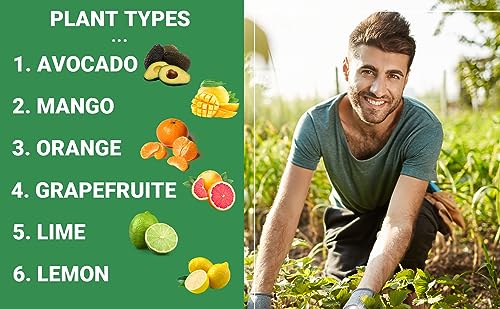 Avocado & Citrus Tree Fertilizer for Indoor & Outdoor Plants (96 Ounce)