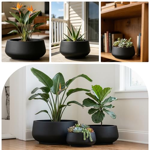 Set of 3 Black Concrete Shallow Planters 21.6" 16.9" 12.5" Dia (Black / 21.6",16.9",and 12.5" Dia)
