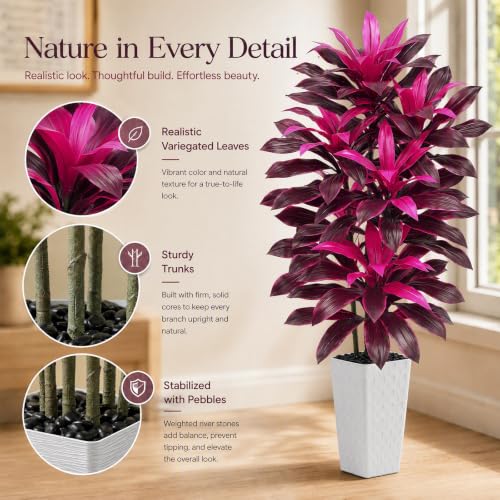 Artificial Dracaena Tree (Magenta – White Pot / 6FT)