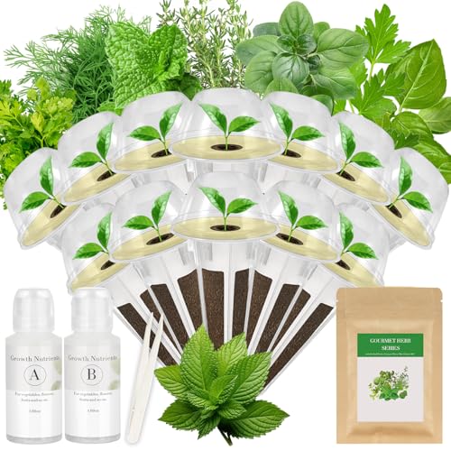 Gourmet Herbs Seed Pod Kit for AeroGarden (12-pod / herb)