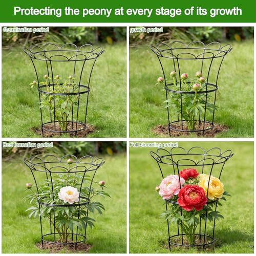 Heavy Duty Hydrangea Support (Black / 25.5"x20")