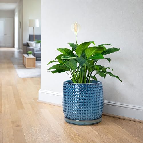 Beaded Ceramic Pot with Saucer (8.8 Inch / Ocean Teal)