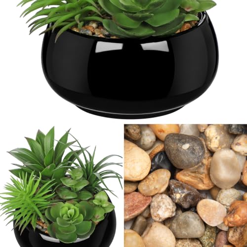 Artificial Succulents in Pots Fake Plants Faux Succulent Arrangement Potted Plant in Vase Black Ceramic Planter Bowl for Office Desk Bathroom Shelf Living Room Indoor Outdoor Home Decor (Black)