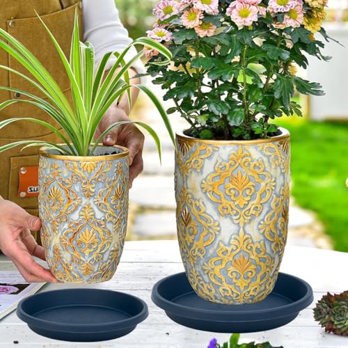 Plastic Plant Saucer 10 Inch Round Pack of 2 Heavy Duty Drip Trays for Indoor Outdoor Pots (10" (2 Pack) / Dark_blue)
