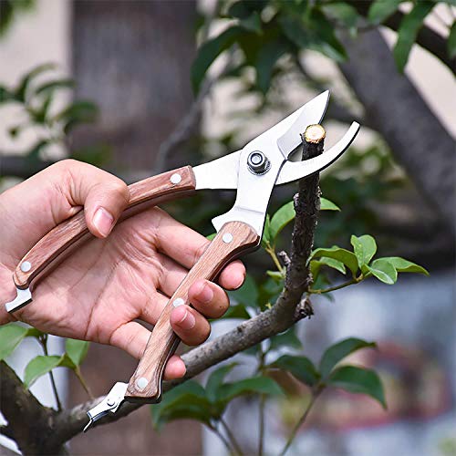 Wood Handle Pruning Shears (8"WoodHandleShears(E012))