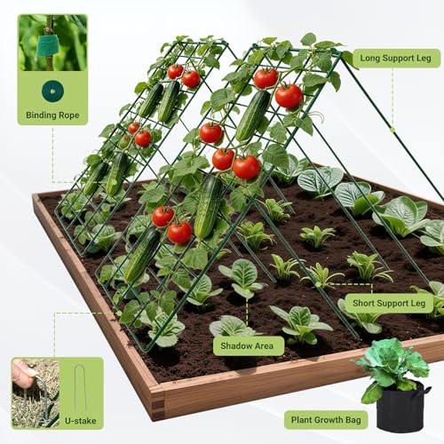 Cucumber Trellis for Garden 48" L x 16" W (48" L x 16" W)