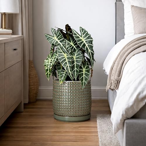 Beaded Ceramic Pot with Saucer (8.8 Inch / Olive)