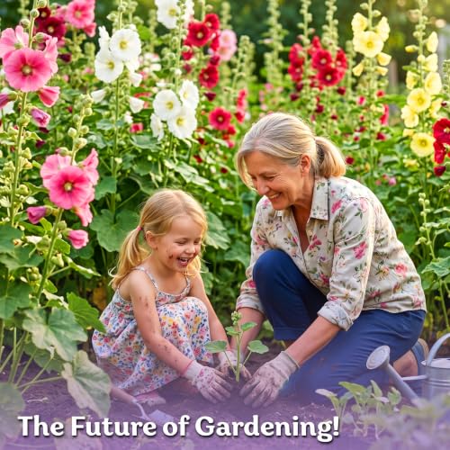 150 Hollyhock Heirloom Flower Seeds for Planting