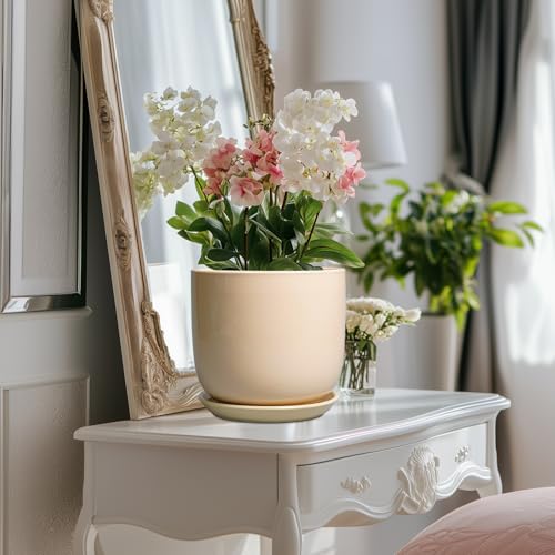 Ceramic Planter (8 Inch / Beige)