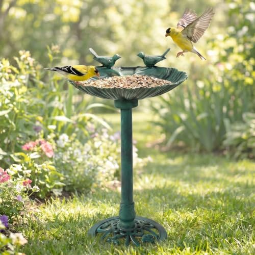 Pedestal Bird Bath with Solar Fountain (Green Shell)
