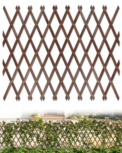 Expandable Wooden Lattice Fence Panel (1 Pack / 3.2 x 6.1 ft)