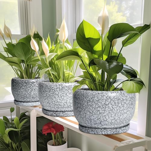 8 inch Plant Pot