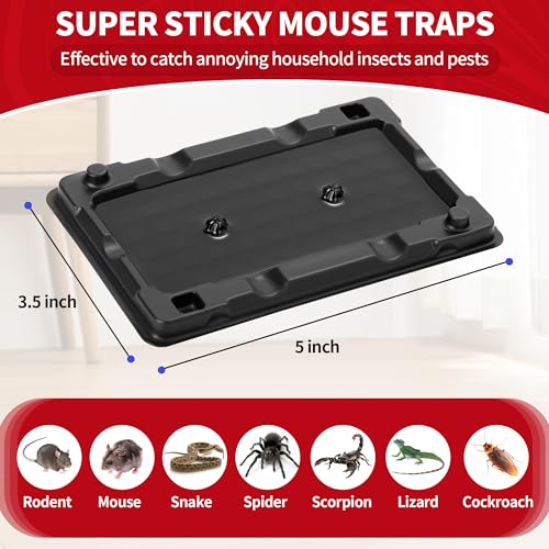 Mouse Traps 12 Pack Sticky Mouse Traps Indoor for Home (Small)