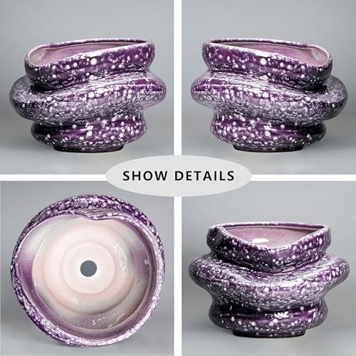 Ceramic Pots for Plants (Purple (10.6 X 7.5 In))