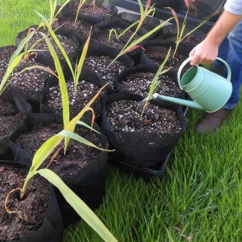 1 4 Gallon 200PCS 6.3×7 Inch Breathable Plant Grow Bags (200 Count)