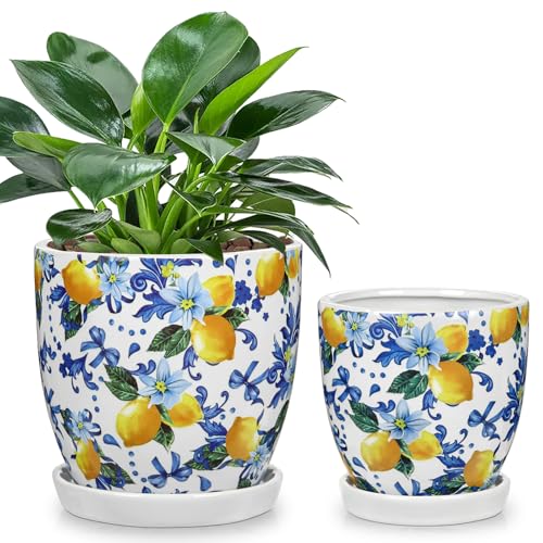 5.3+4.3 inch Ceramic Plant Pots (Lemon Patterns)