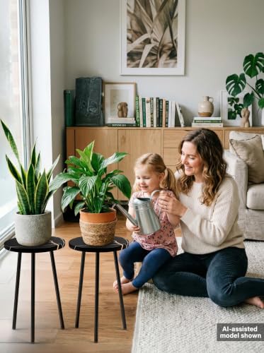 Plant Stand Indoor 2 Pack (Black Marble / 20"&20")