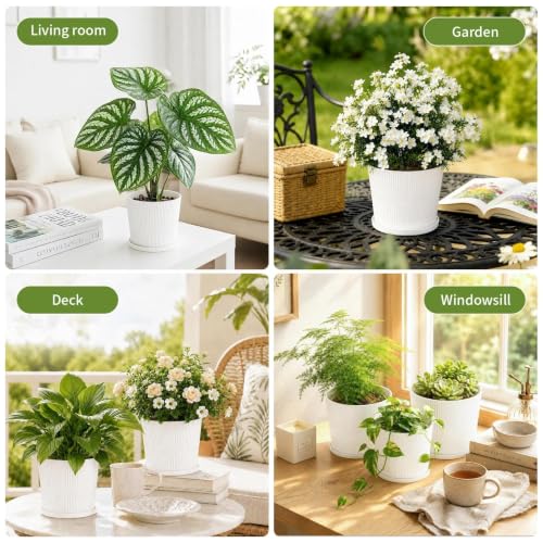 2 Plant Pots Indoor (White / 4.8''+5.5'')