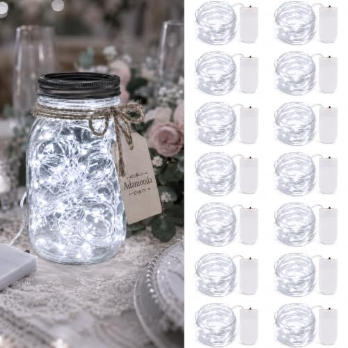 14 Pack Fairy Lights Battery Operated (2032-14 Pack-Cool White)