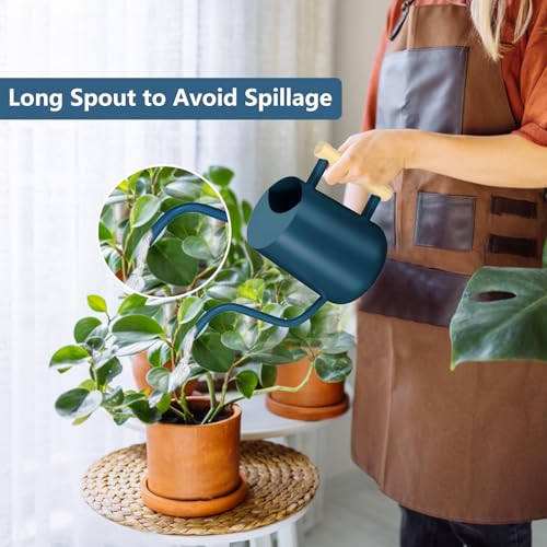 Watering Can Indoor Plants (Dark Blue)