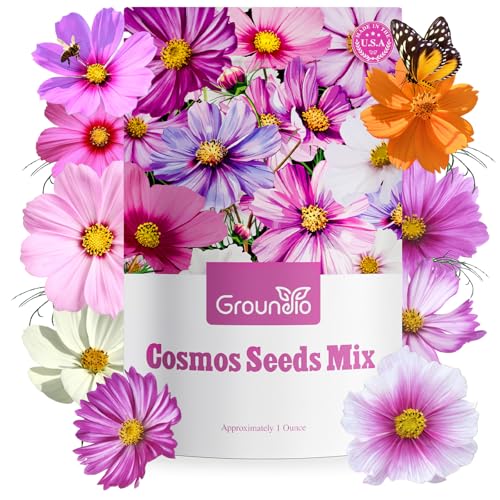 Cosmos Seeds 7 Varieties Mix
