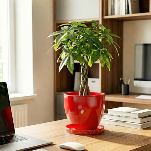 Plant Water Catcher Tray (5.6" / Red)
