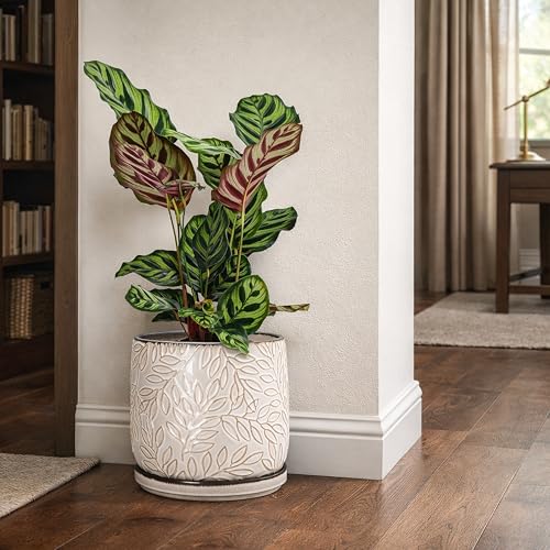 Embossed Leaves Ceramic Planter (8 Inch / Smoked White)
