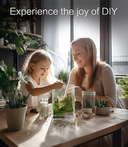 27 PCS Glass Plant Terrarium Kit with LED Grow Light (Tall Cube Set)