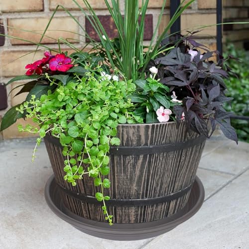 2 Pack of 12 inch Plant Saucer (12" (2 pack) / Brown)
