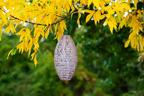 Soji Stella Wildflower Pod Solar Lantern (Blush / Pod)