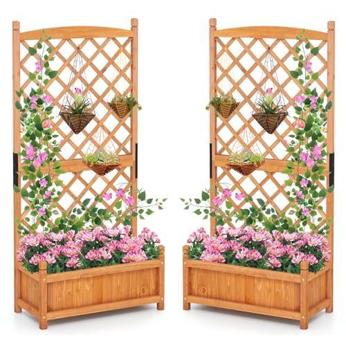 Raised Garden Bed with Trellis Set of 2 (Orange / 28"Lx13"Wx60"H)