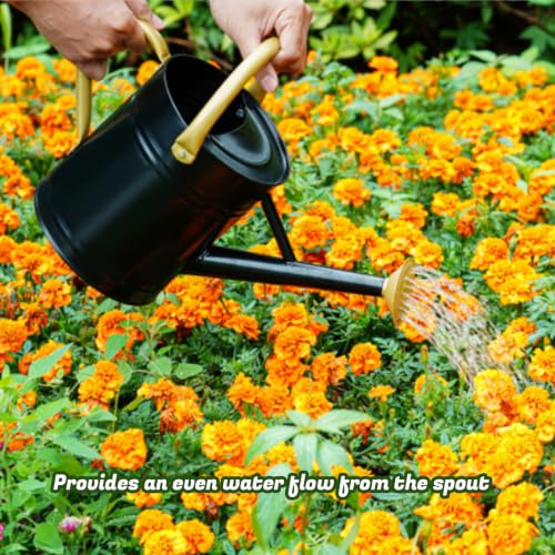 1 Gallon Watering Can for Plants (Black-gold)