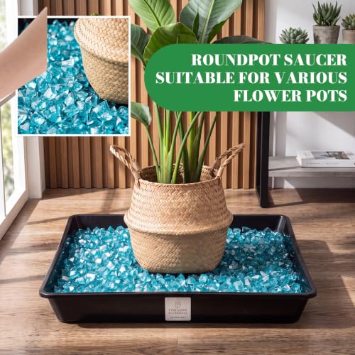 6 Pack Plastic Plant Saucer (Square / 14 Inch / Black)