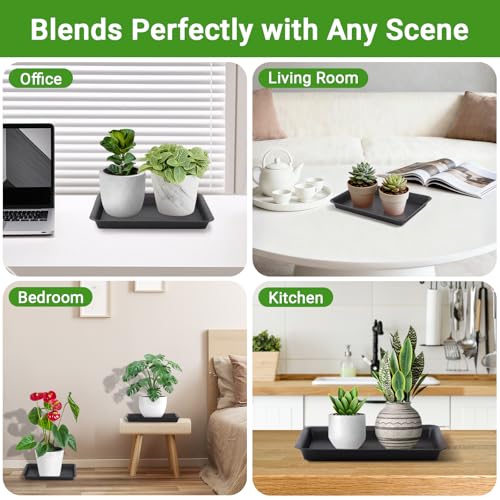 10 Inch Plastic Plant Tray Saucer Rectangular (10 Inch / Black)