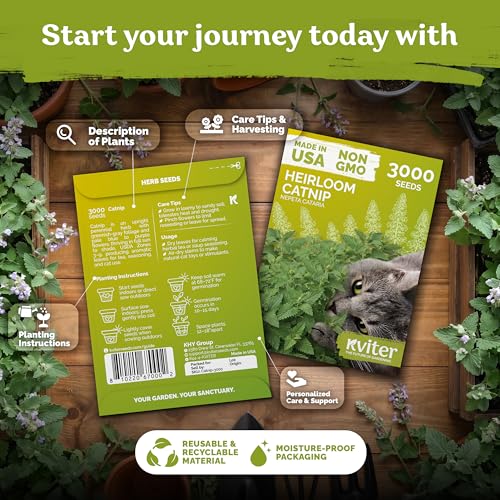 3 000 Catnip Heirloom Herb Seeds for Planting