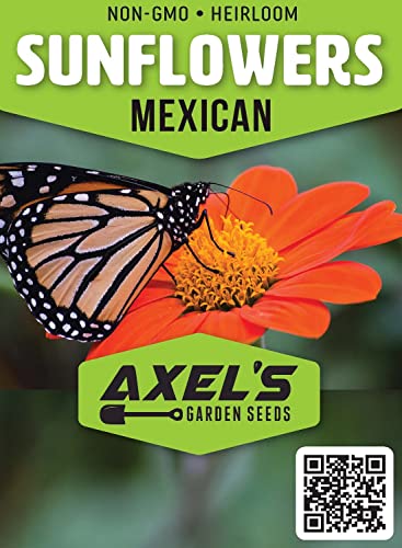 50+ Sunflower Seeds for Planting
