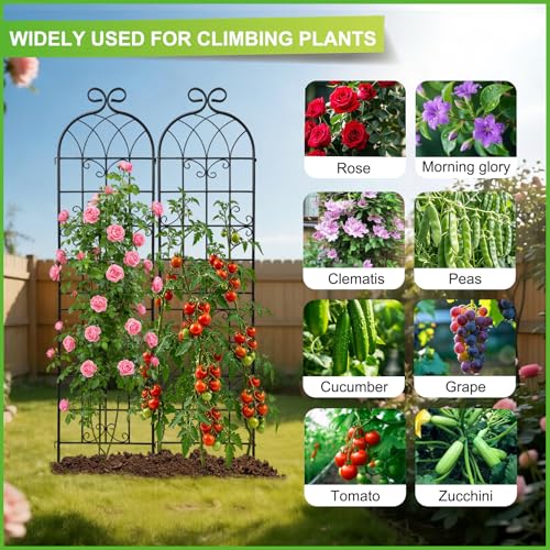 2 Pack 86.7" H x 19.7" W Black Metal Garden Trellis for Climbing Plants Outdoor (2PCS-1)