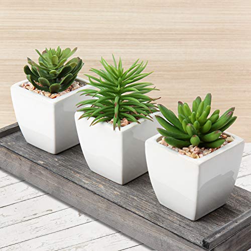 Small Faux Succulents in White Ceramic Pot 3Pcs Artificial Succulents Fake Plant Gifts Home Decor Accents Centerpieces Bathroom Decor Mum Gifts Greenery Decoration Succulents Wedding (3pack - White Ceramic 2)