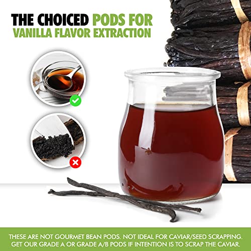 30 Madagascar Organic Vanilla Beans Grade B. Certified USDA Organic. Bulk Bourbon 5" (3.2 Ounce (30 Count))