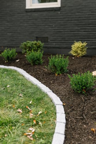 Landscape Edging (1-Pack (4 FT) / Greystone)