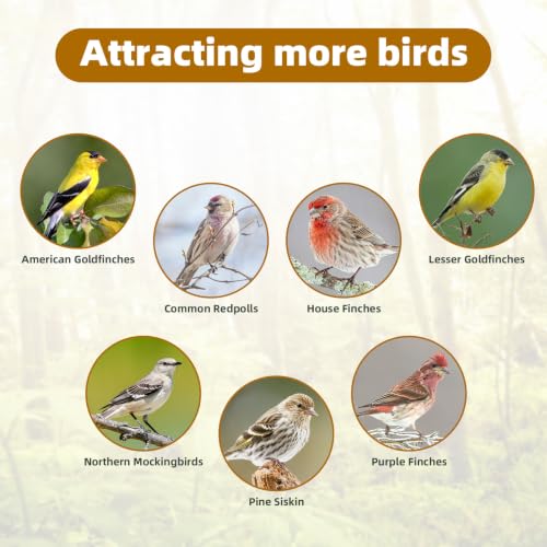 Nyjer Thistle Seeds Wild Bird Feeder 2 Pack (Bronze / 2Pack)